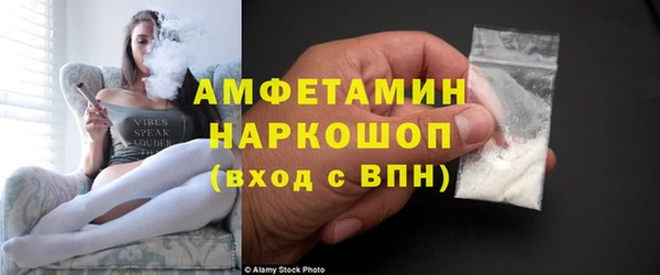 ГАЛЛЮЦИНОГЕННЫЕ ГРИБЫ Горно-Алтайск