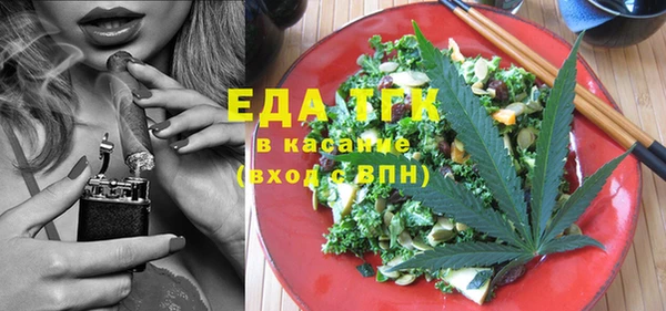 хмурый Ельня