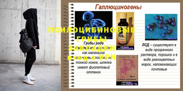 метадон Гусиноозёрск