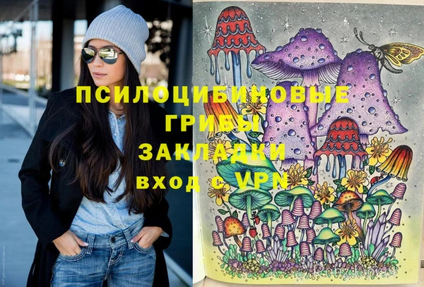 бутират Гусь-Хрустальный